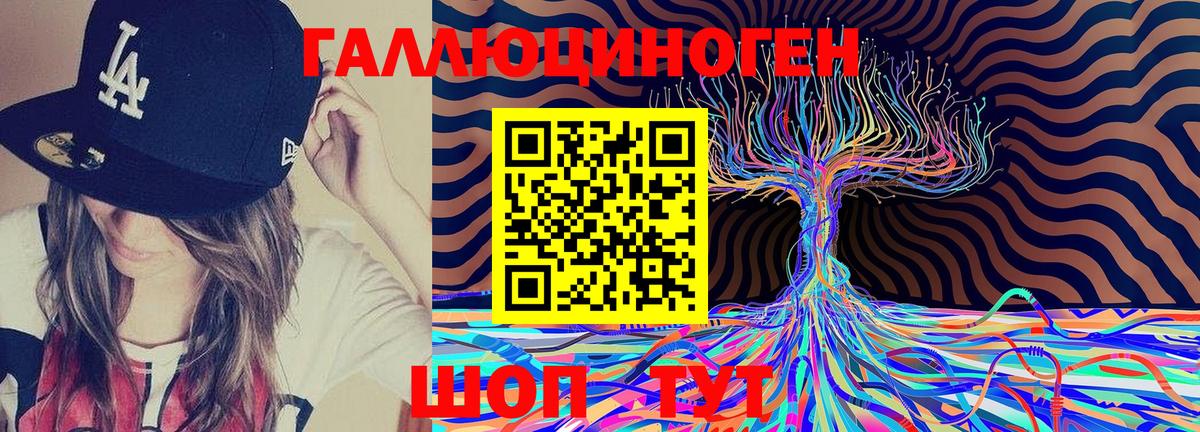 Галлюциногенные грибы Cubensis  Галлюциногенные грибы Cubensis  где найти   Камышин  Вход с VPN 