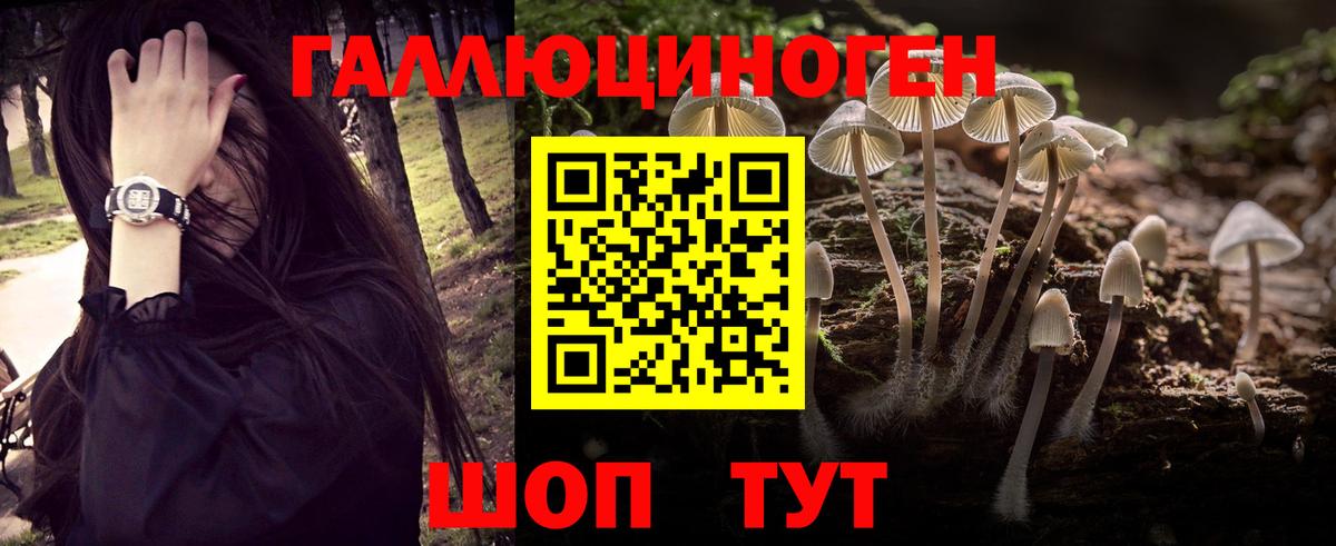 ГАШ  МАРИХУАНА  КОКАИН  Вход с VPN  А ПВП СК кристаллы  Камышин  Меф кристаллы 